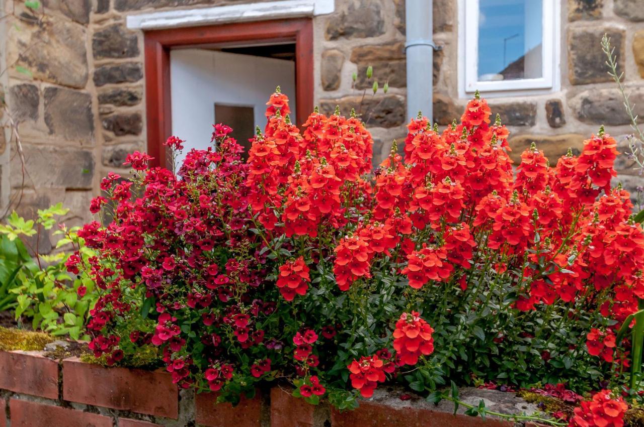 Chimes Cottage غيوسبرو المظهر الخارجي الصورة